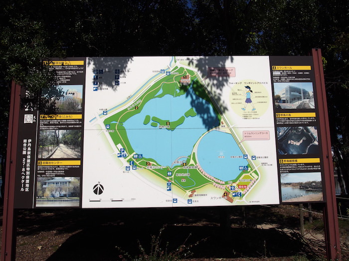 バードウォッチングが簡単にできる昆陽池公園